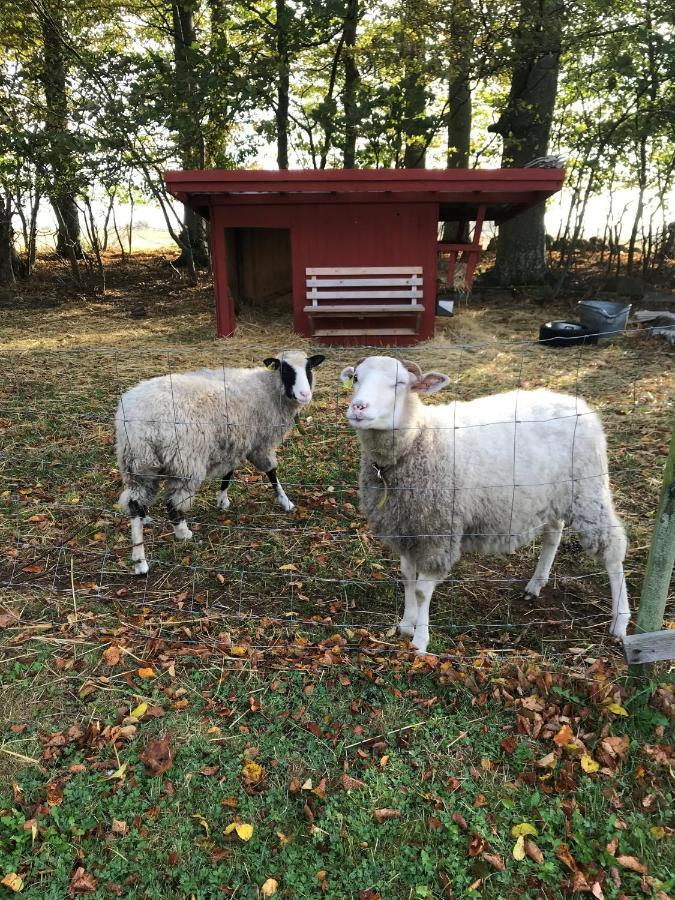 Rosloevs Gard Vackert Boende I En Naturskoen Miljoe. Flyinge Eksteriør bilde